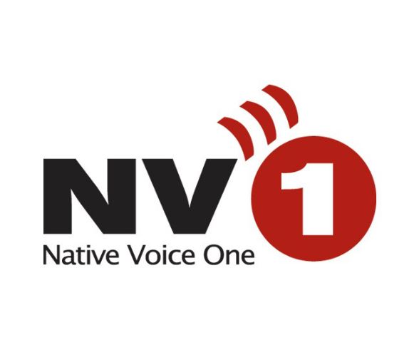 nv1 logo white2