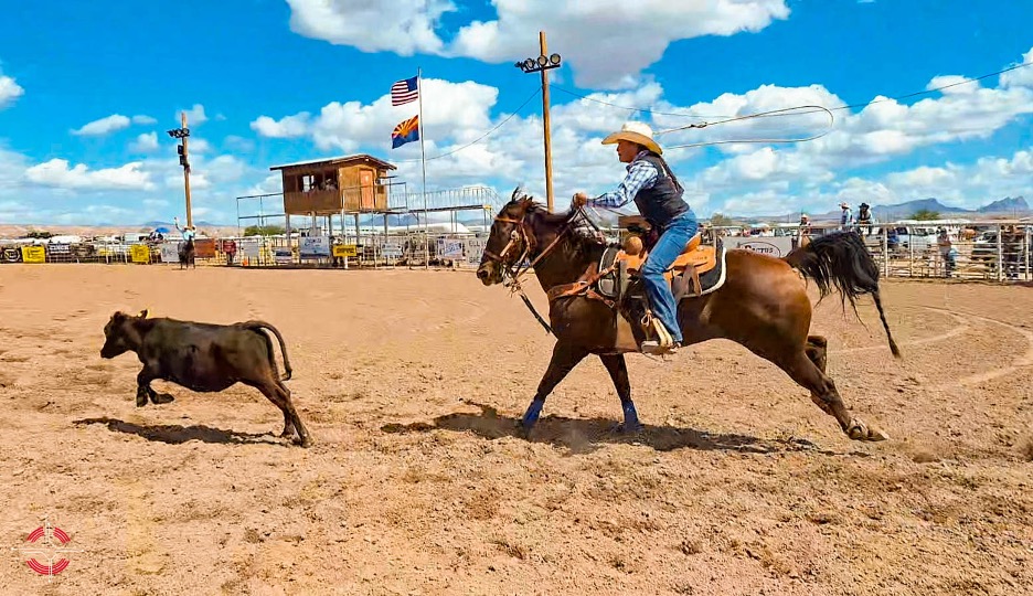 NTU Rodeo