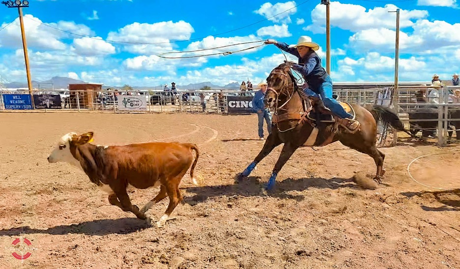 NTU Rodeo