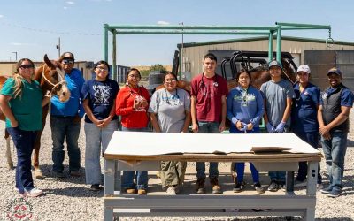 Students Explore Veterinary and Agricultural Careers at NTU Summer Enrichment Program