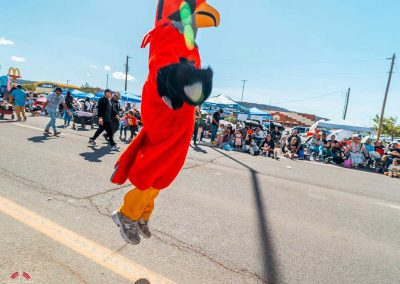 NTU Sammy the Skyhawk